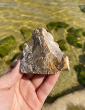 Load image into Gallery viewer, Petrified Wood
