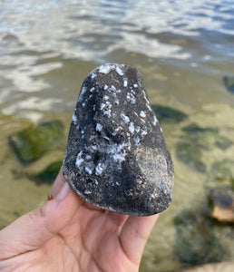 Septarian “Egg” with Calcite Crystals